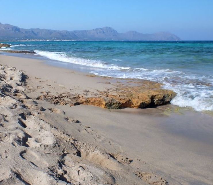 2013 QV DAX-DJ-GOLD-EURUSD-JPY 669394