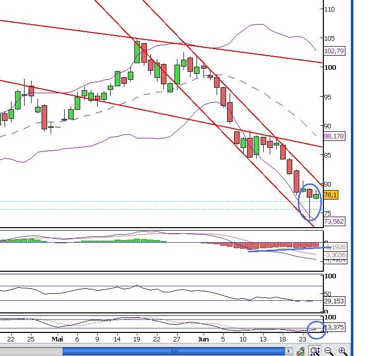 Das Bärengebrüll wird schon wieder lauter, 171158