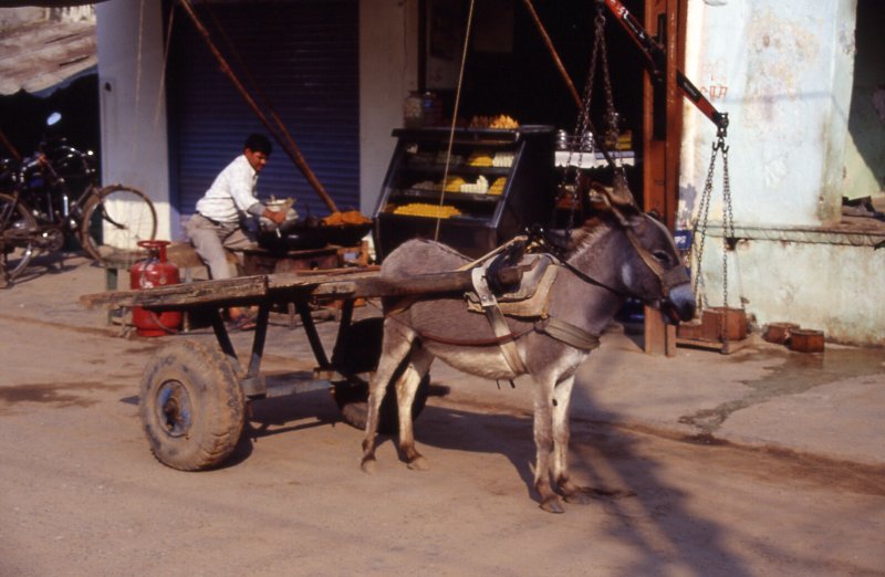 VG Gold ( ISIN: CA9182161021 ) 159477