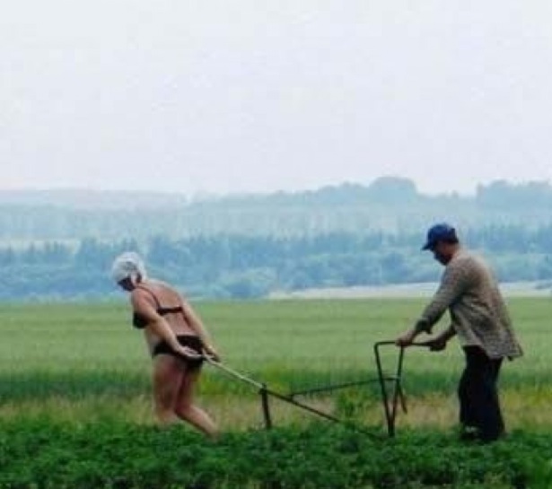 Quo Vadis Dax 2010 - Das Original 351341