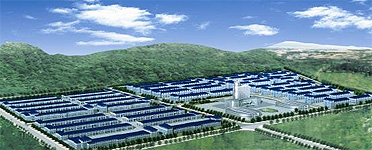 Orchid Capital LTD. Registered Shares O.N. 924249 119854