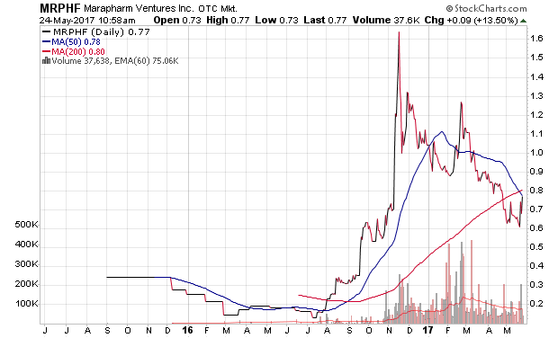 Der USA Bären-Thread 991720