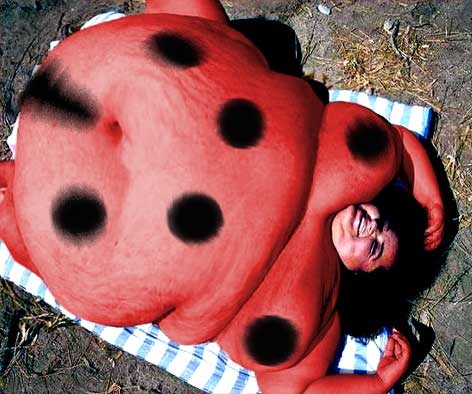 marienkaefer_a291062