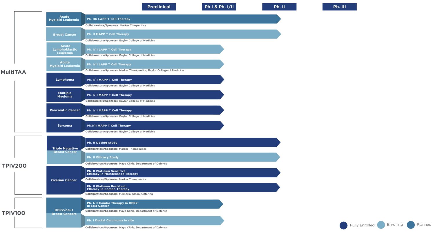 Marker Therapeutics, Inc. (MRKR) 1176338