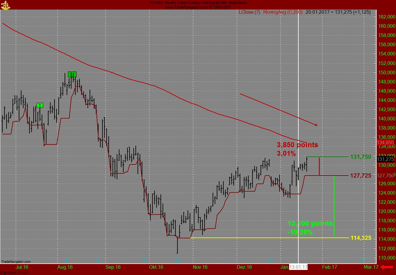 Endlich erfolgreiches Trading mit Rohstoffen 966296