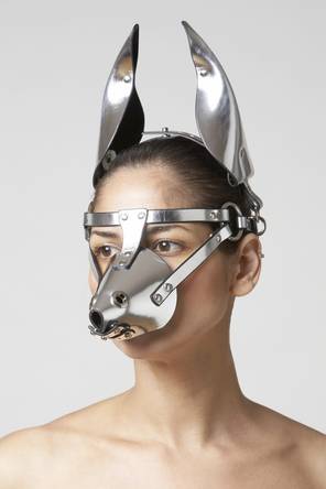 Der USA Bären-Thread 329829