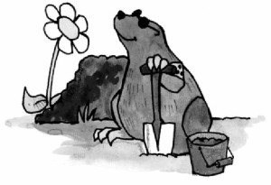 Indo Mines, mehere Giga-Projekte am Laufen 407222