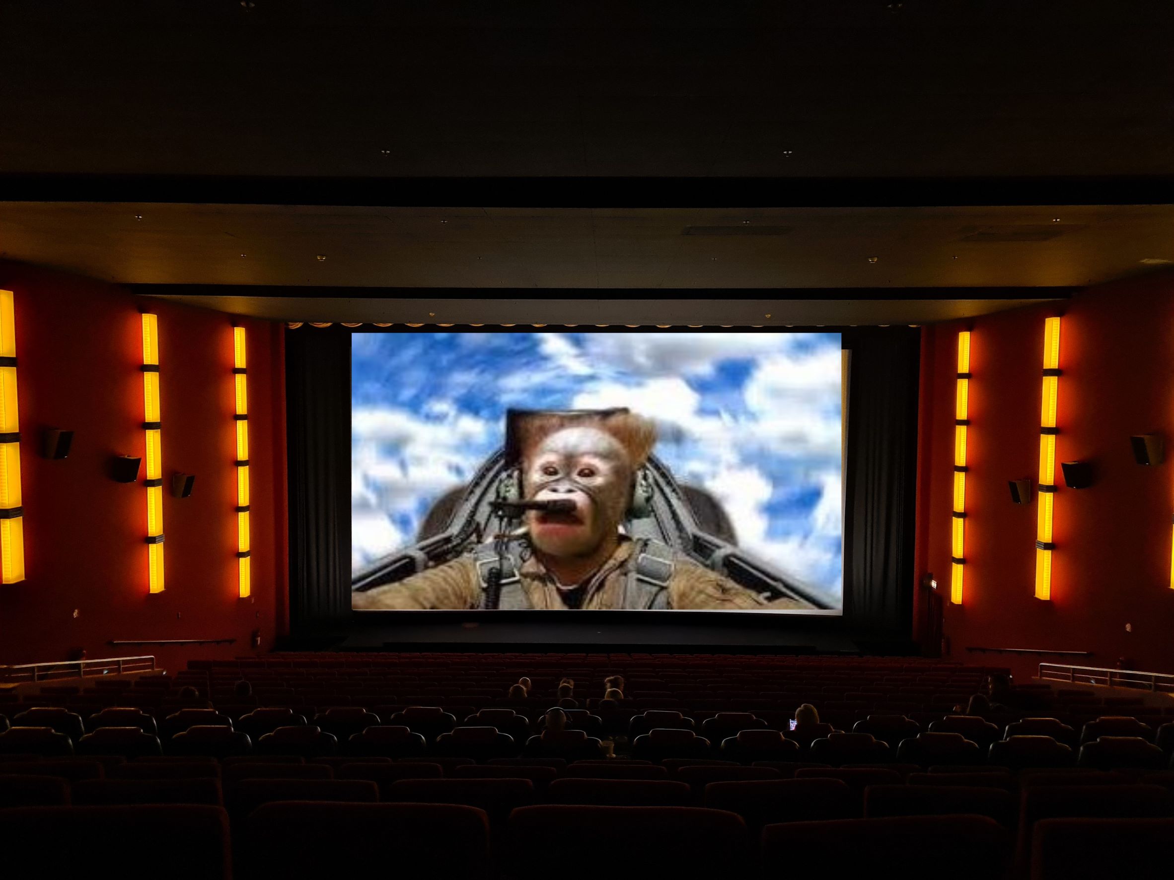 AMC Entertainment Holdings 2.0 - Todamoon?!? 1316954