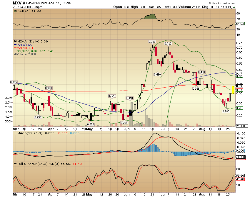 Faszinierend - Maximus Ventures 900922 183044