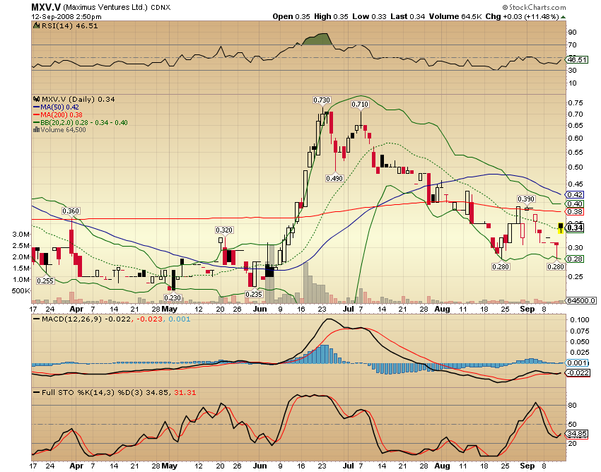 Faszinierend - Maximus Ventures 900922 186081