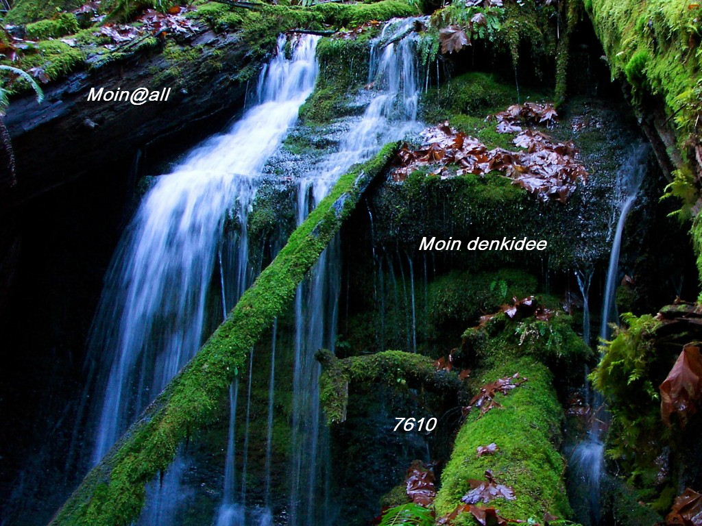 2.034.DAX Tipp-Spiel, Dienstag, 09.04.2013 595564