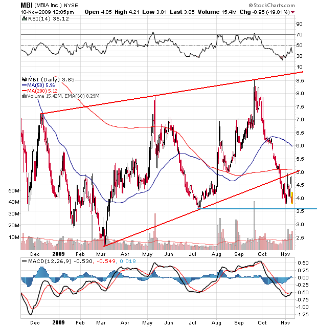 Der USA Bären-Thread 274071