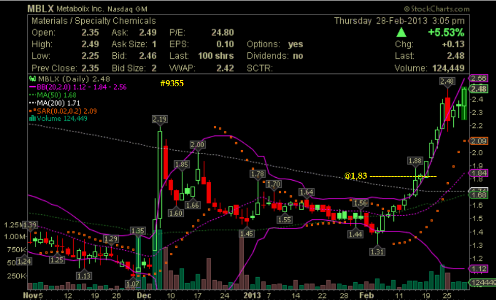 Wesleys Flugschule - US Auslese 583451