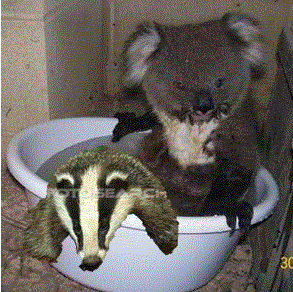 Quo Vadis Dax 2013 - Up, dank Liquidität 575893