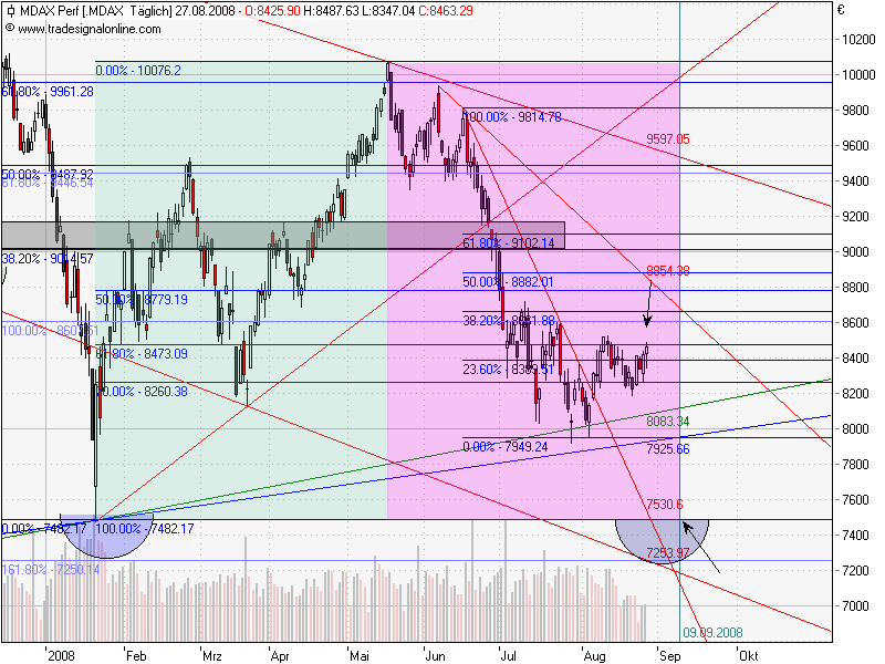 Die Bullen scharren gar nicht mit den Hufen, 182852