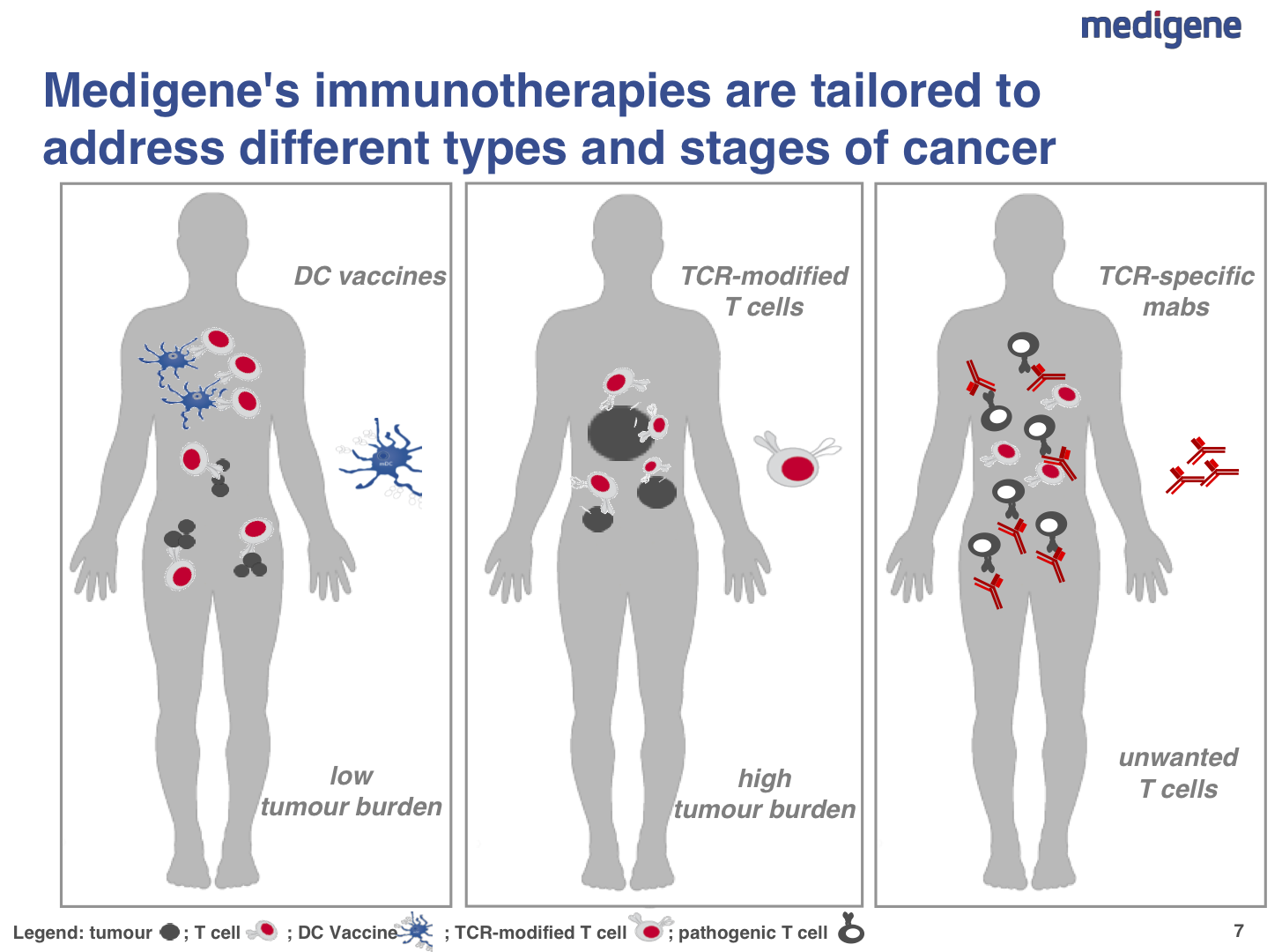 Medigene - Sachliche und fachliche Beiträge 900217
