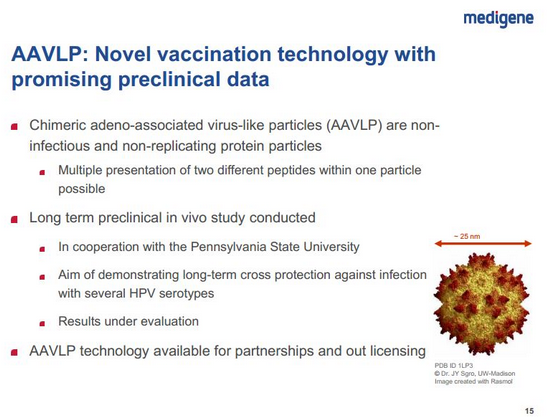 Medigene - Sachliche und fachliche Beiträge 993943