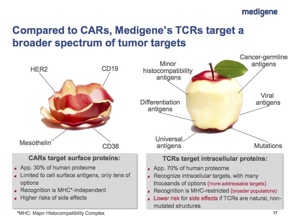 Medigene - Sachliche und fachliche Beiträge 958754