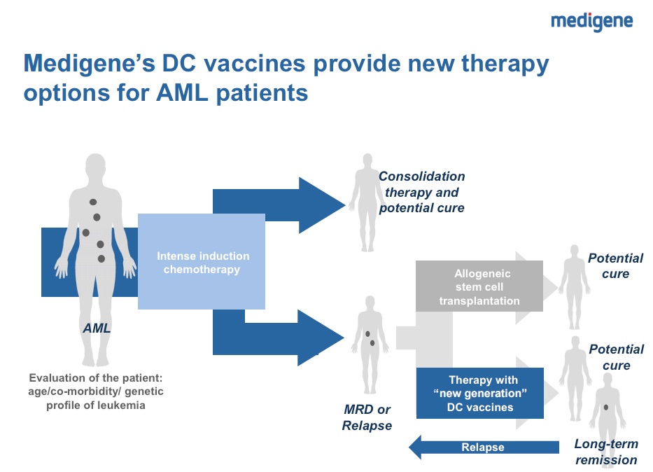 Medigene - Sachliche und fachliche Beiträge 916728