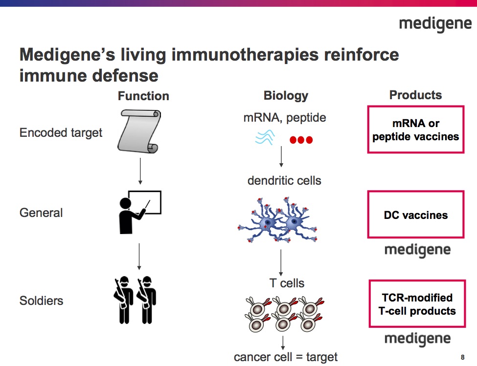 Medigene - Sachliche und fachliche Beiträge 963443