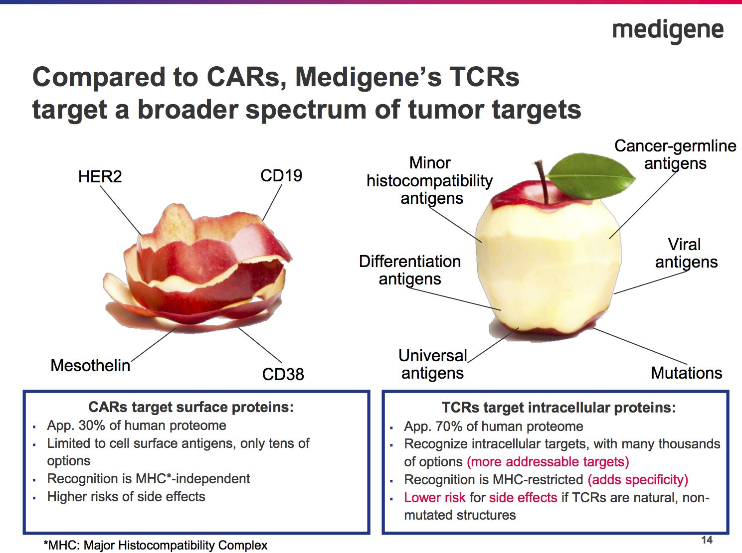 Medigene - Kurse/Quatschen/Charts/Einzeiler..u.s.w. 979887