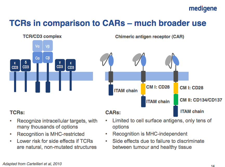 Medigene - Sachliche und fachliche Beiträge 804321