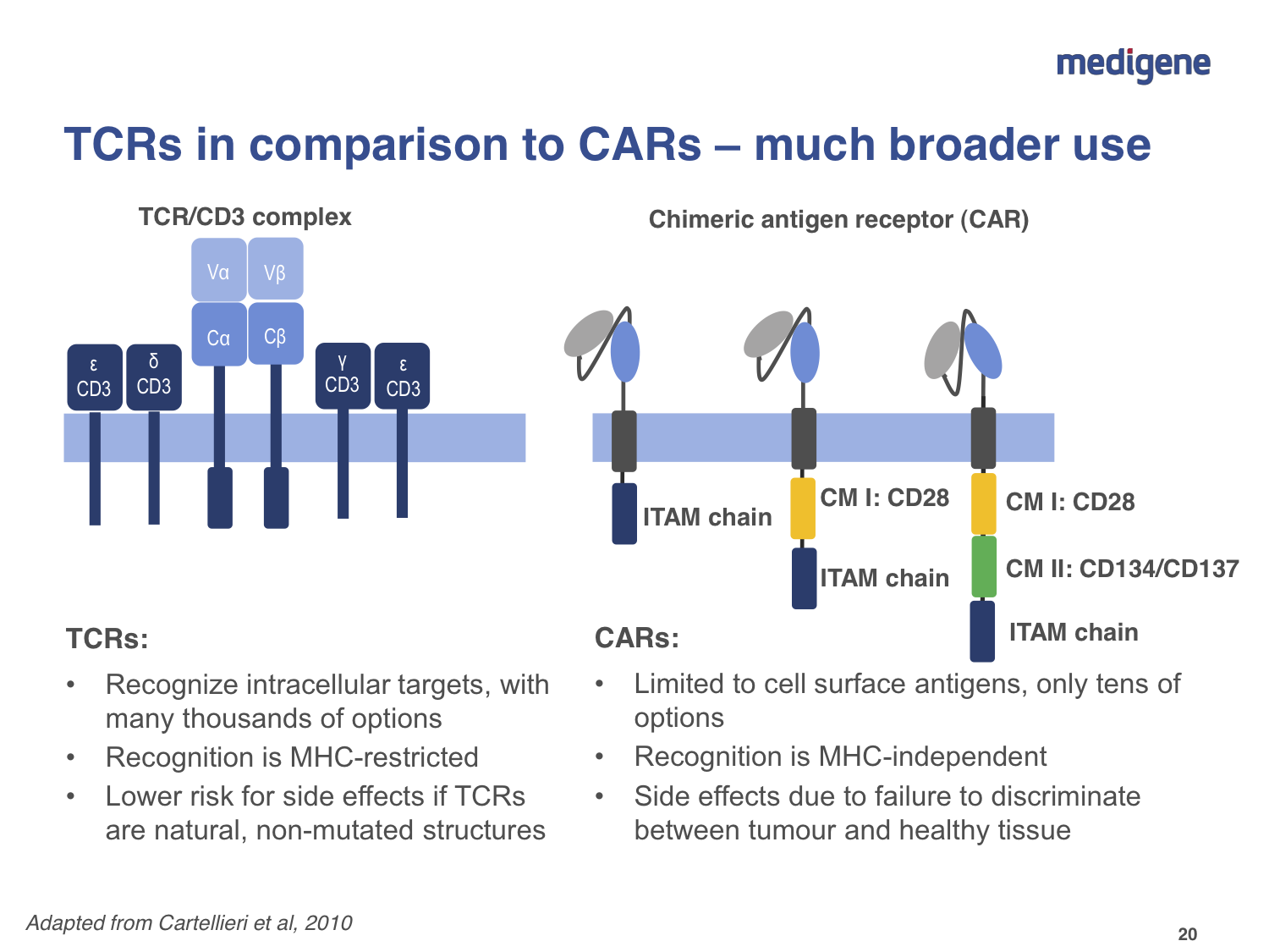 Medigene - Sachliche und fachliche Beiträge 850915