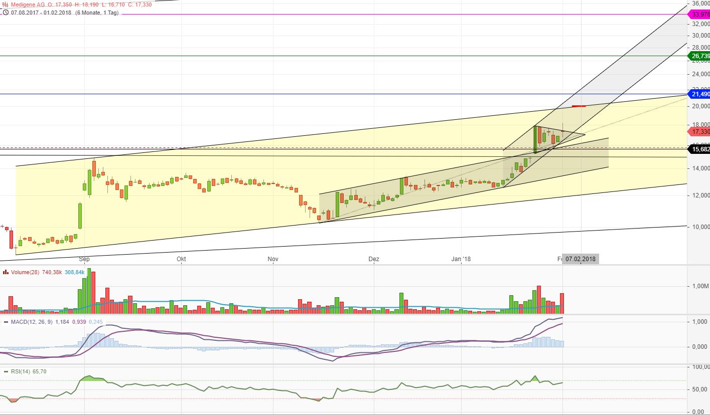 Medigene - Kurse/Quatschen/Charts/Einzeiler..u.s.w. 1038466