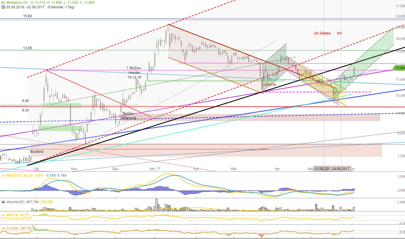 Medigene - Kurse/Quatschen/Charts/Einzeiler..u.s.w. 993916