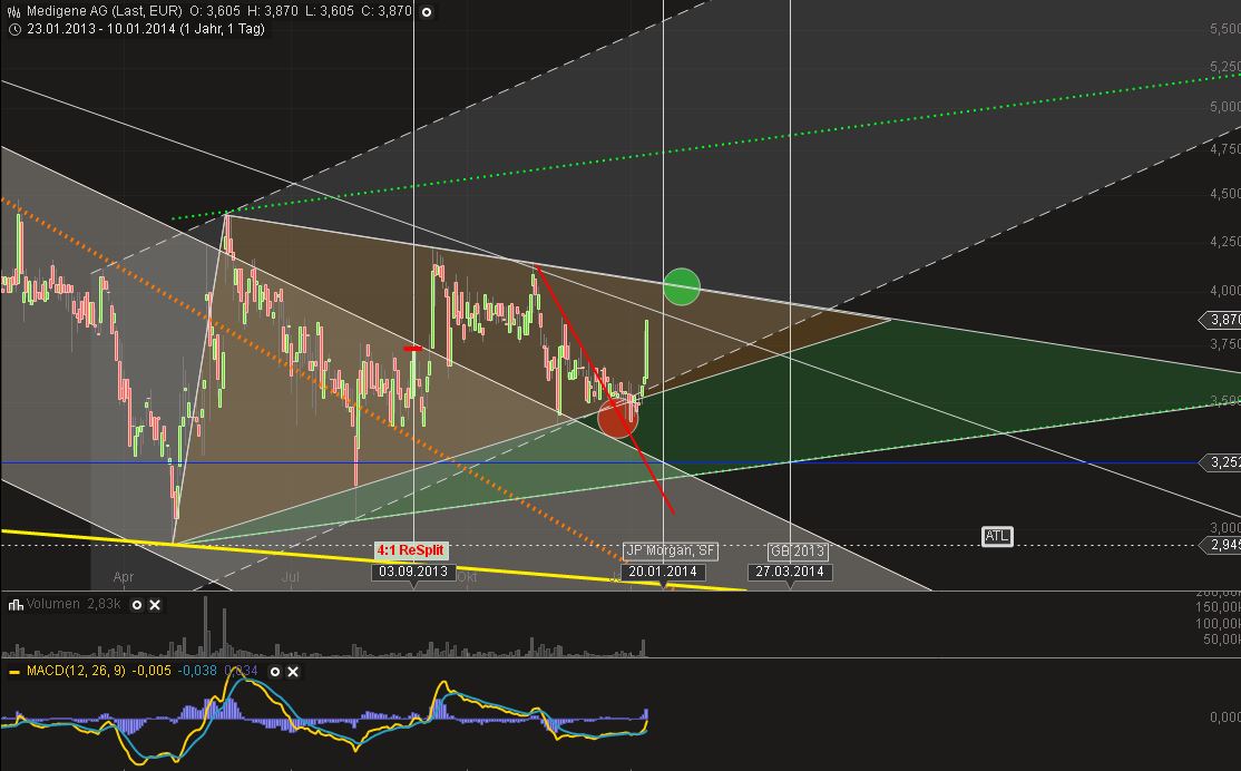 Medigene - Sachliche und fachliche Beiträge 681025