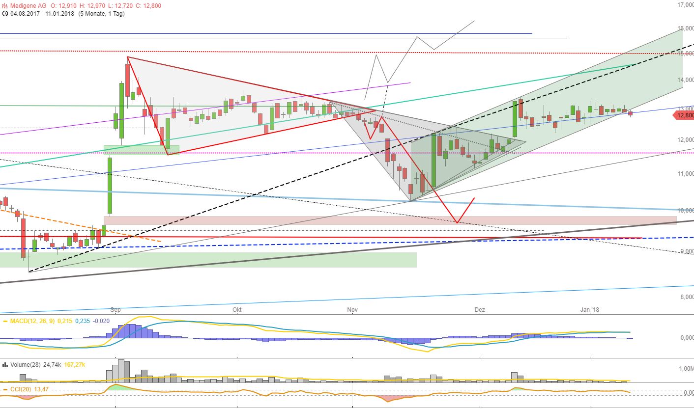 Medigene - Kurse/Quatschen/Charts/Einzeiler..u.s.w. 1034391