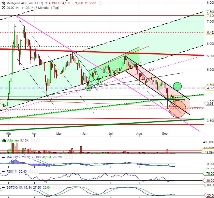 Medigene - Sachliche und fachliche Beiträge 755615