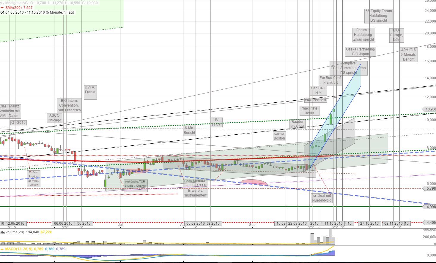 Medigene - Kurse/Quatschen/Charts/Einzeiler..u.s.w. 944618