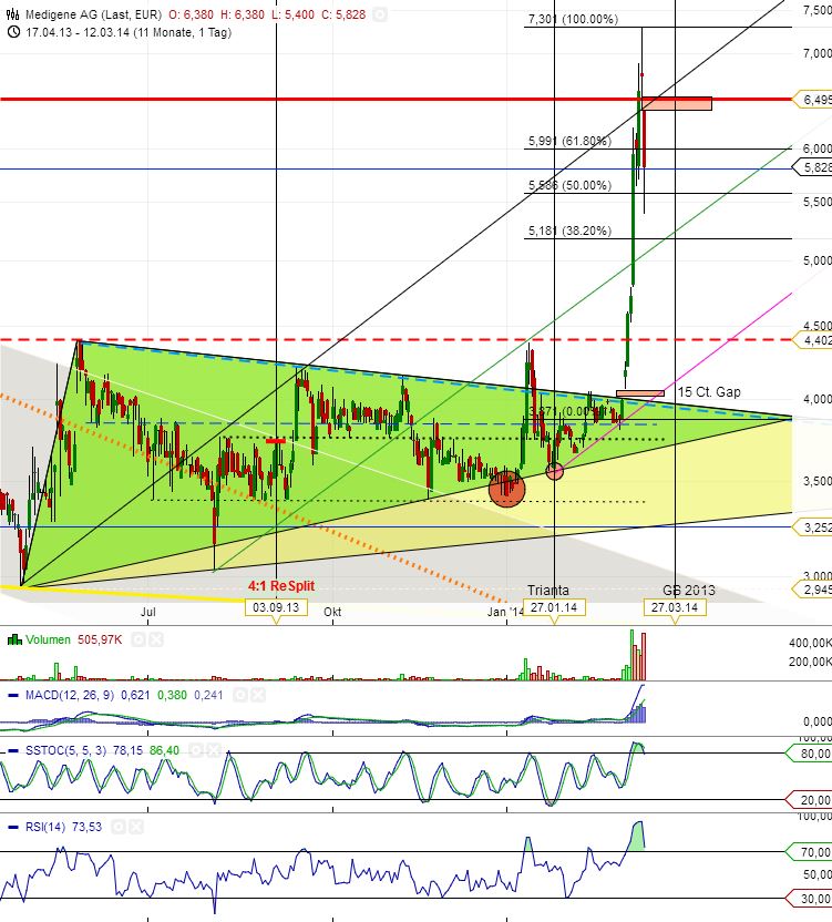 Medigene - Sachliche und fachliche Beiträge 704240