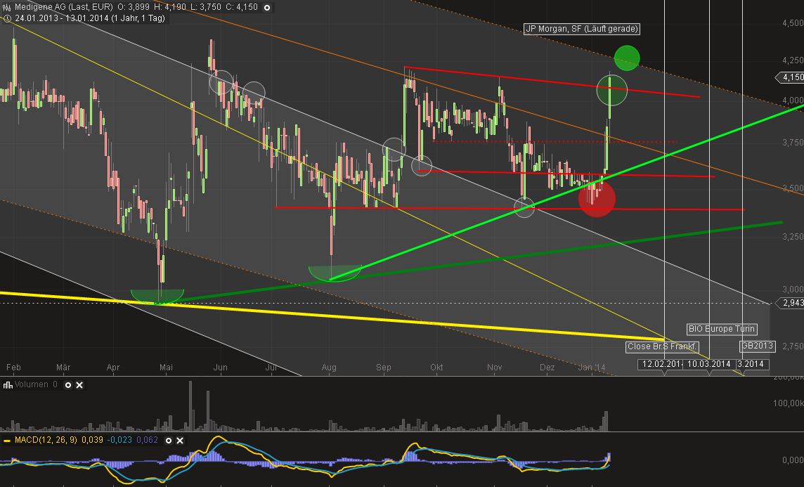 Medigene - Sachliche und fachliche Beiträge 681845
