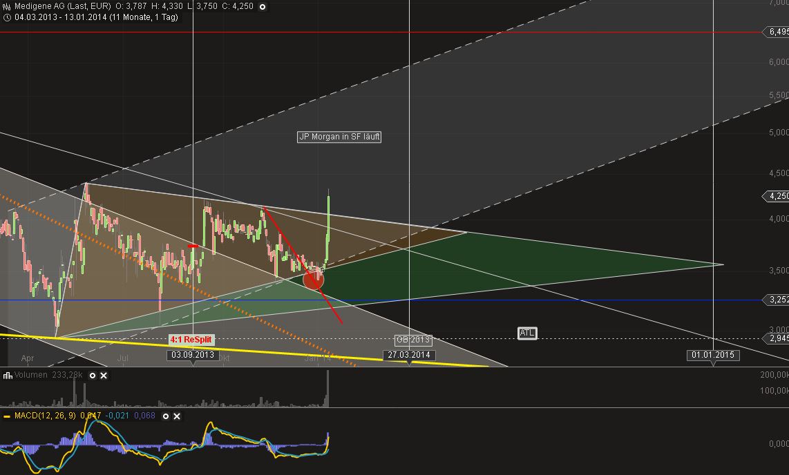 Medigene - Sachliche und fachliche Beiträge 681949