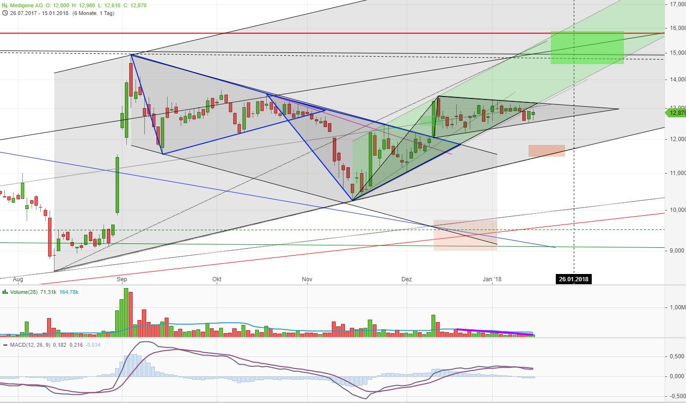 Medigene - Kurse/Quatschen/Charts/Einzeiler..u.s.w. 1035096