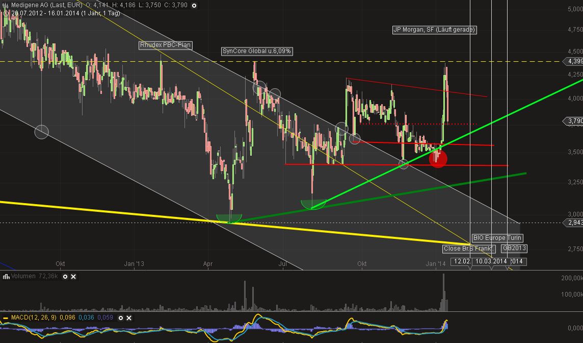 Medigene - Sachliche und fachliche Beiträge 683468