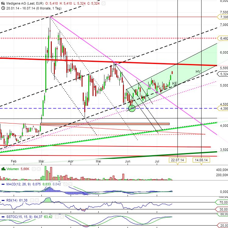Medigene - Sachliche und fachliche Beiträge 741024