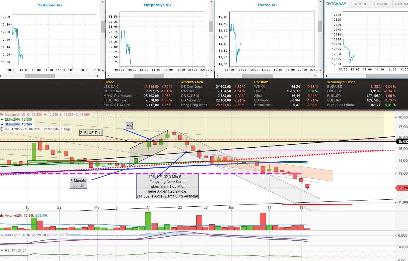 Medigene - Kurse/Quatschen/Charts/Einzeiler..u.s.w. 1060313