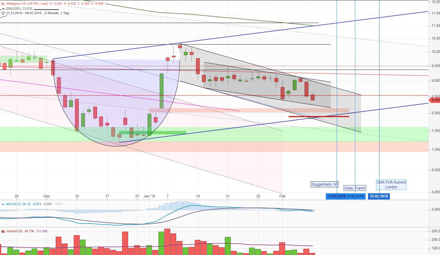 Medigene - Kurse/Quatschen/Charts/Einzeiler..u.s.w. 1095704