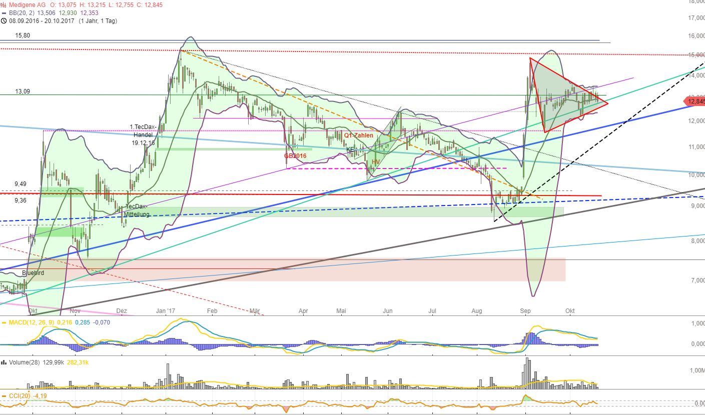 Medigene - Kurse/Quatschen/Charts/Einzeiler..u.s.w. 1019068