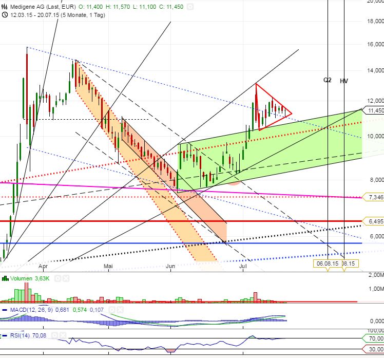 Medigene - Kurse/Quatschen/Charts/Einzeiler..u.s.w. 842356