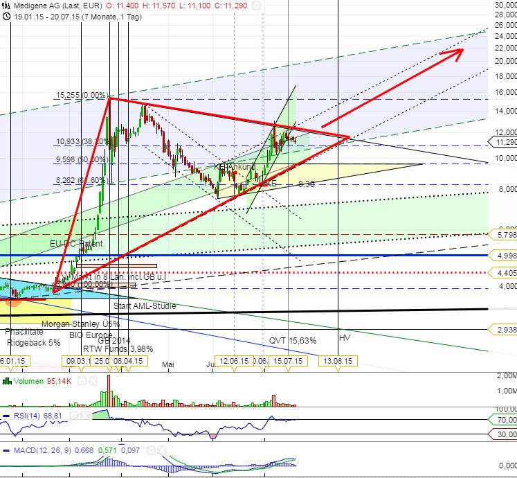 Medigene - Kurse/Quatschen/Charts/Einzeiler..u.s.w. 842600