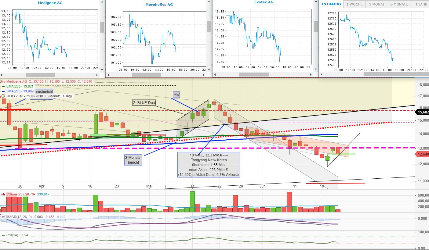 Medigene - Kurse/Quatschen/Charts/Einzeiler..u.s.w. 1060867