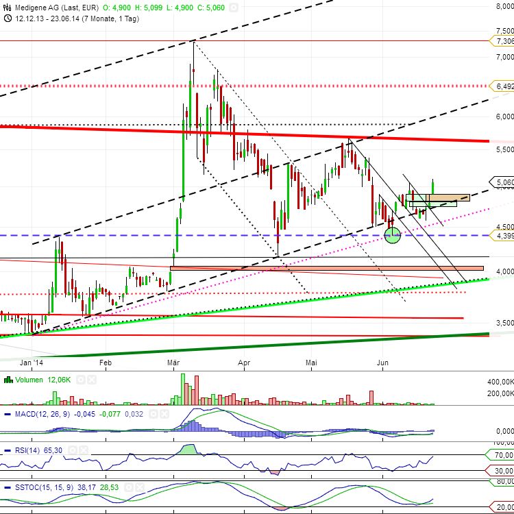 Medigene - Sachliche und fachliche Beiträge 734779