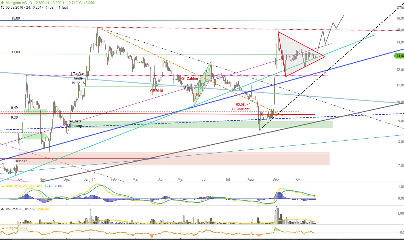 Medigene - Kurse/Quatschen/Charts/Einzeiler..u.s.w. 1019707