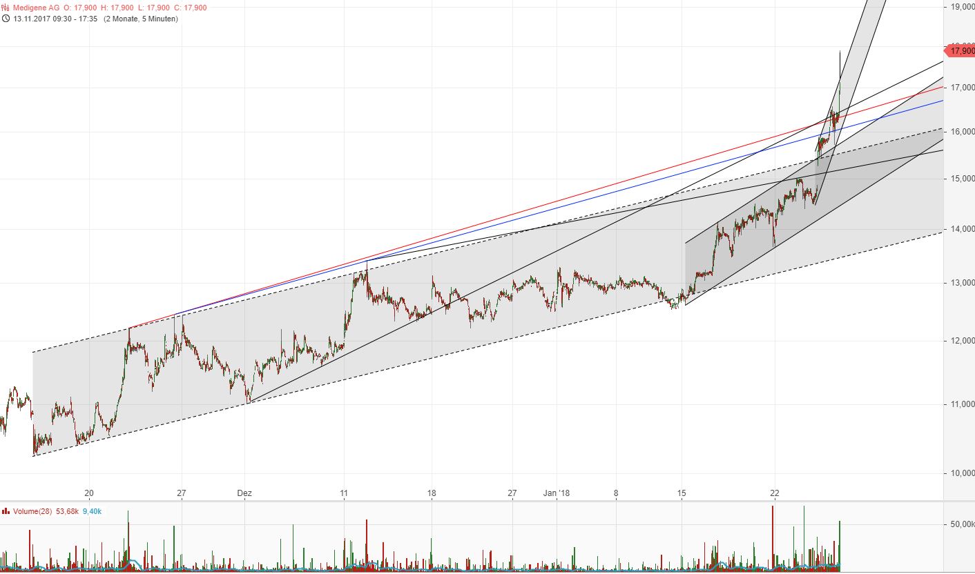 Medigene - Kurse/Quatschen/Charts/Einzeiler..u.s.w. 1036855