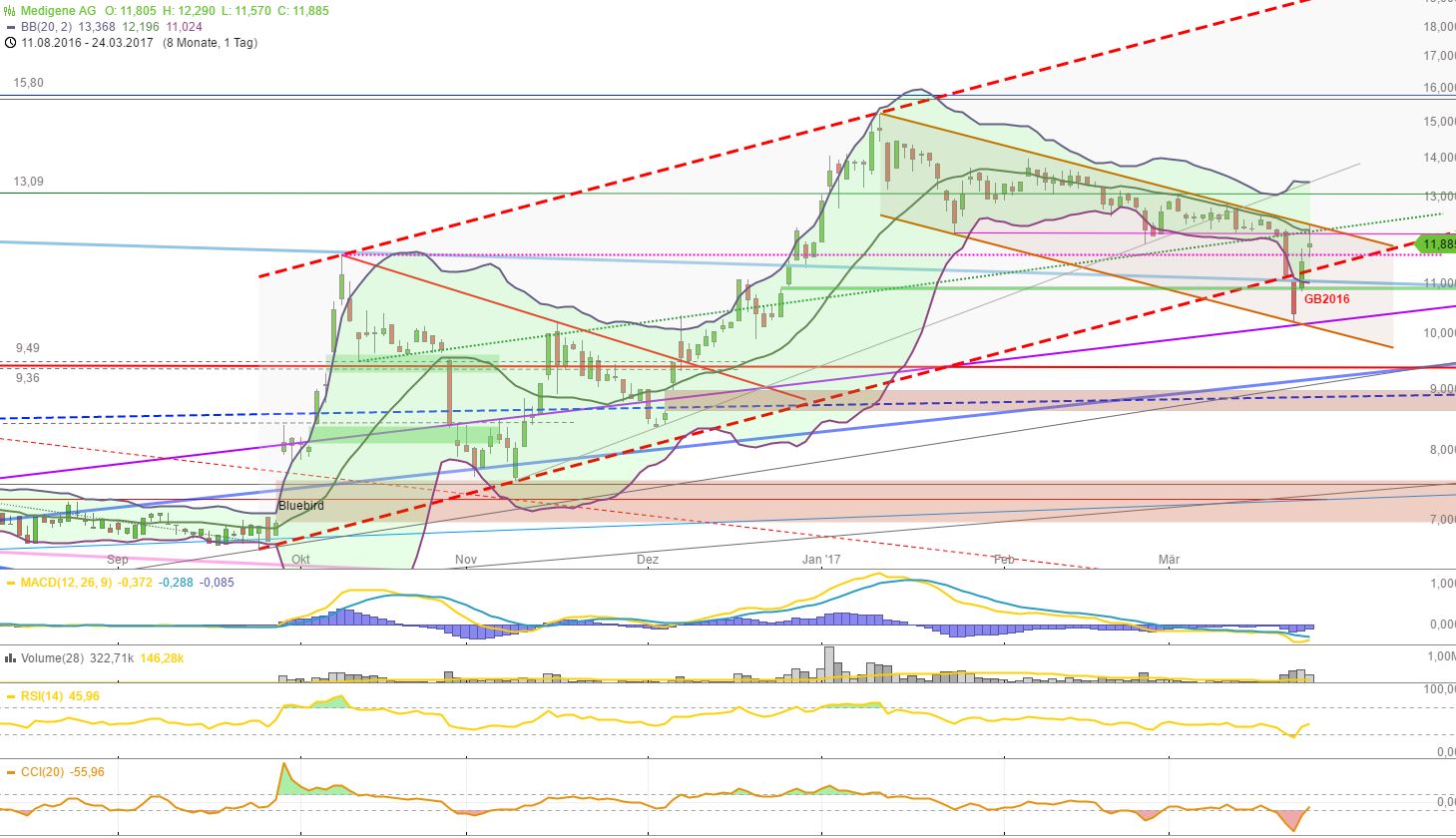 Medigene - Kurse/Quatschen/Charts/Einzeiler..u.s.w. 979871