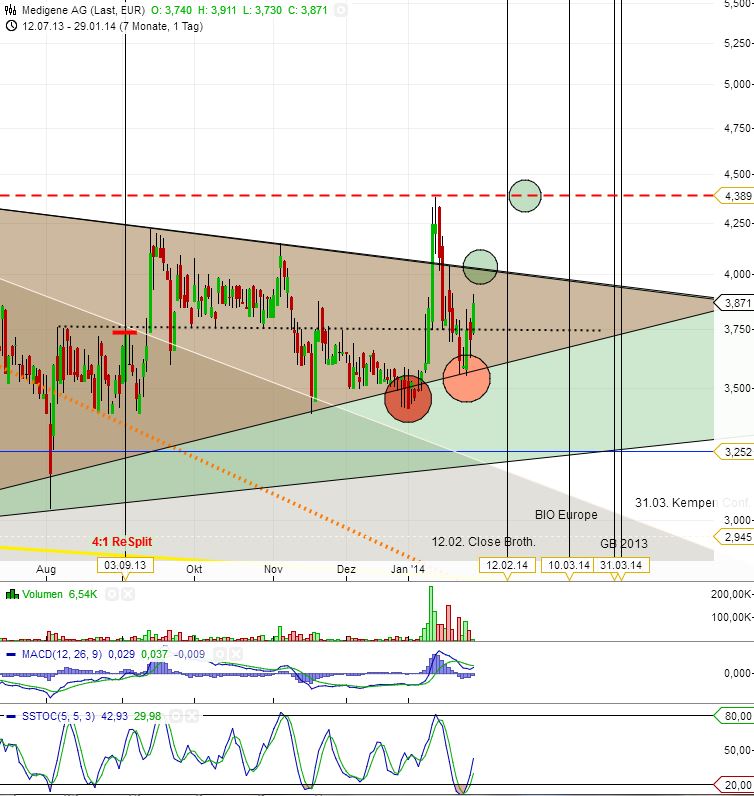 Medigene - Sachliche und fachliche Beiträge 688315